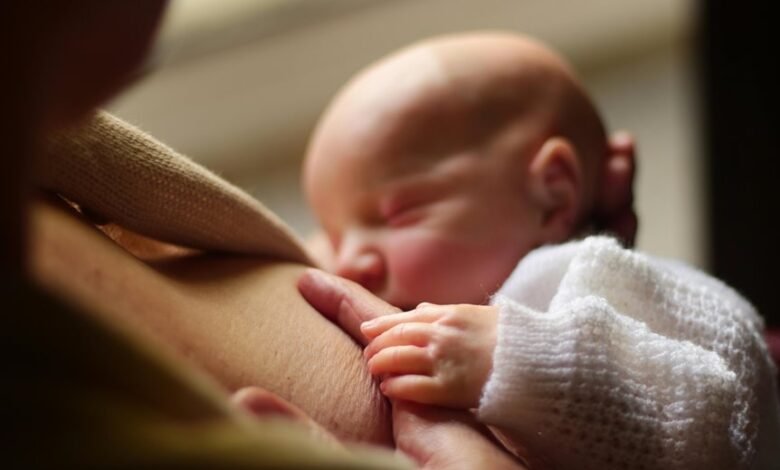 family life hacks revealed