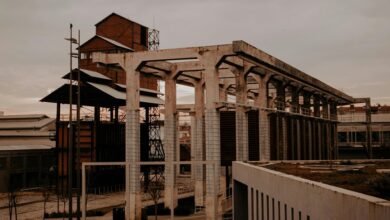 growth strategy industry insights