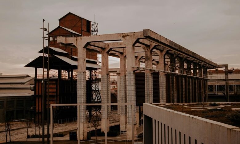 growth strategy industry insights