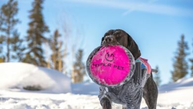 stellar hyper node technology