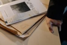 investigation report numbers and ids